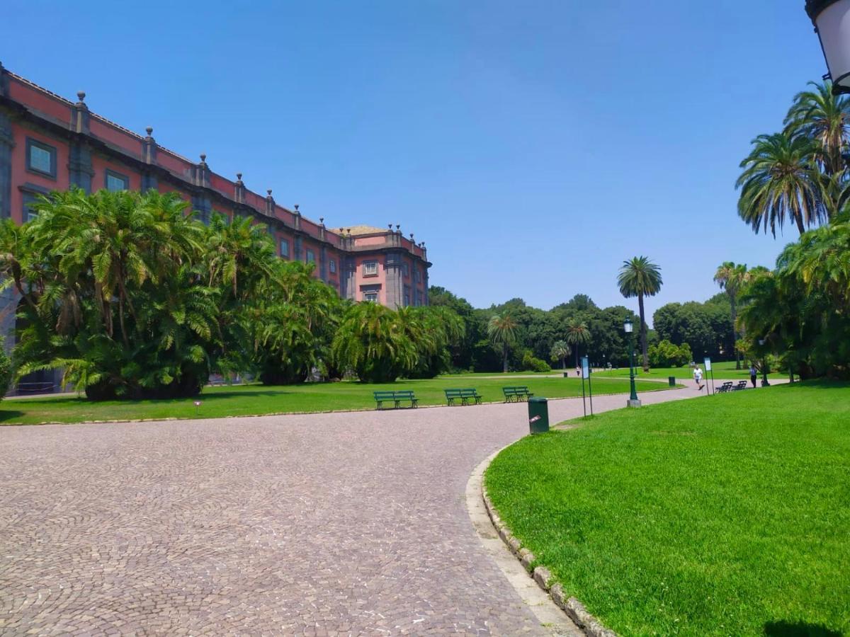 Appartement Vico Longo 25 - Ensuit Flat In The Heart Of