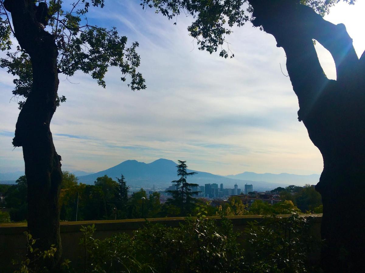 Appartement Vico Longo 25 - Ensuit Flat In The Heart Of